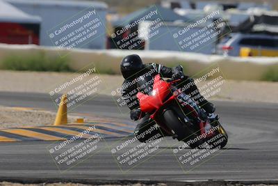 media/Mar-12-2023-SoCal Trackdays (Sun) [[d4c8249724]]/Turn 2 (1130am)/